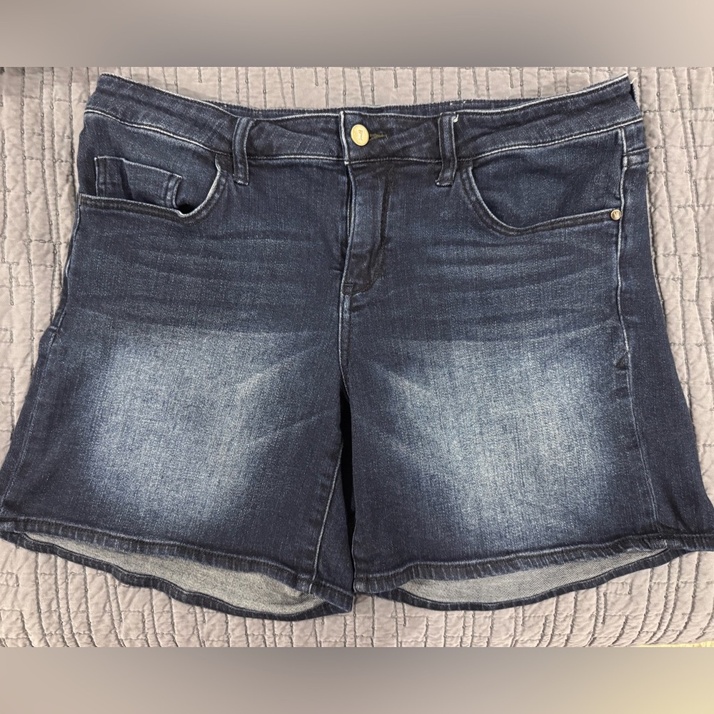 ANTHROPOLOGIE Pilcro & The Letterpress Stet Stretch Denim Jean Shorts Size 31